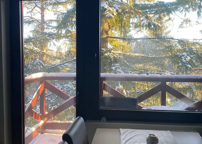 Apartament Bianca Palisat